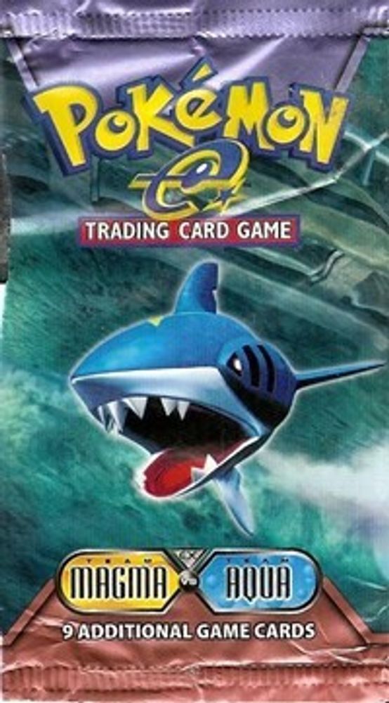 Team Magma vs Team Aqua